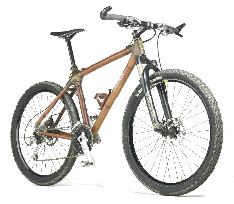 Bamboo Bike - The Green Bike