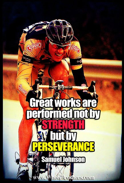 Great works are performed not by strength but by perseverance