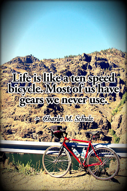 Life is like a 10 speed bicycle. Most of us have gears we never use.