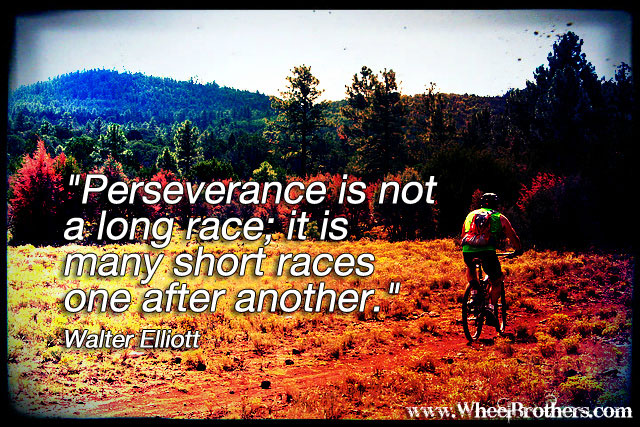 Perseverance is not a long race...
