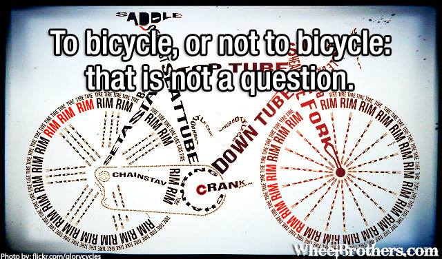 To bicycle or not