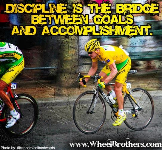 Discipline is the Bridge